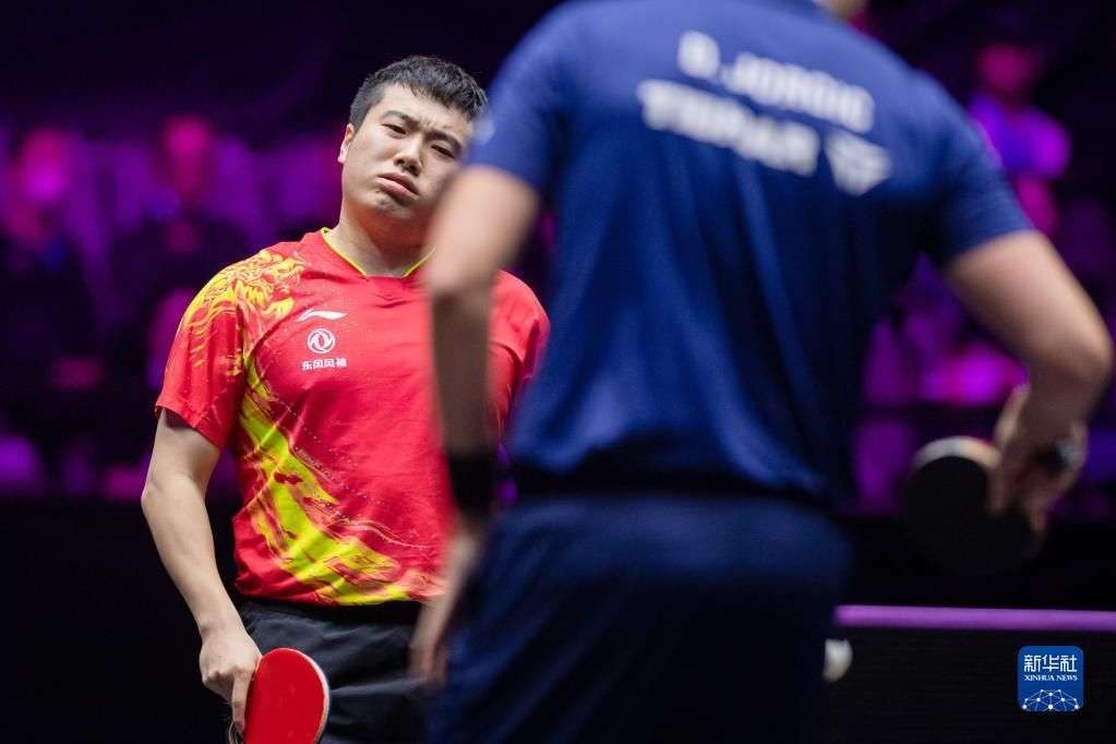 多样性也反 多样性也反